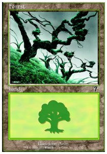 Forest (V.4)⁣ - Seventh Edition⁣ (Land)⁣ [331]