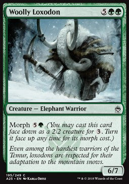 Woolly Loxodon⁣ - Masters 25⁣ (Common)⁣ [195]