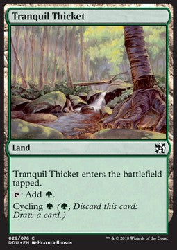 Tranquil Thicket⁣ - Duel Decks: Elves vs. Inventors⁣ (Common)⁣ [29]