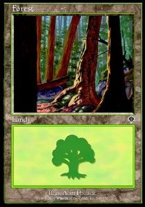 Forest (V.2)⁣ - Invasion⁣ (Land)⁣ [348]