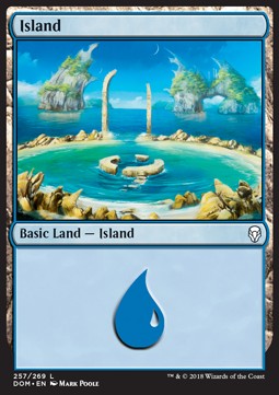 Island (V.4)⁣ - Dominaria⁣ (Land)⁣ [257]