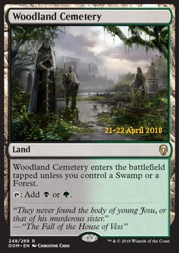 Woodland Cemetery⁣ - Dominaria: Promos⁣ (Rare)⁣ [248]