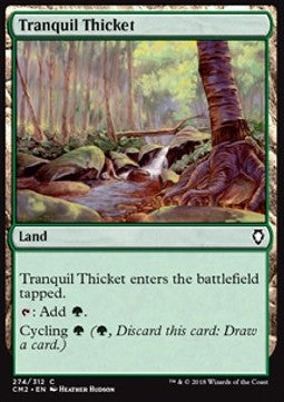 Tranquil Thicket⁣ - Commander Anthology II⁣ (Common)⁣ [274]
