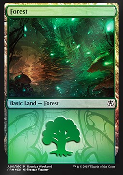 Forest (V.1)⁣ - Weekend Promos⁣ (Land)