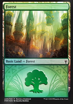 Forest (V.2)⁣ - Weekend Promos⁣ (Land)