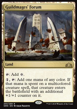 Guildmages' Forum⁣ - Guilds of Ravnica⁣ (Rare)⁣ [250]