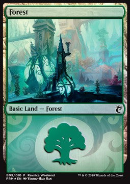 Forest (V.4)⁣ - Weekend Promos⁣ (Land)