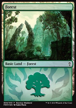Forest (V.3)⁣ - Weekend Promos⁣ (Land)