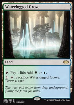 Waterlogged Grove⁣ - Modern Horizons⁣ (Rare)⁣ [249]