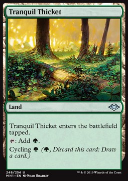 Tranquil Thicket⁣ - Modern Horizons⁣ (Uncommon)⁣ [248]
