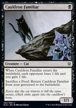Cauldron Familiar⁣ - Throne of Eldraine⁣ (Uncommon)⁣ [81]