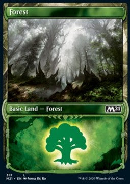 Forest⁣ - Core 2021: Extras⁣ (Land)⁣ [313]