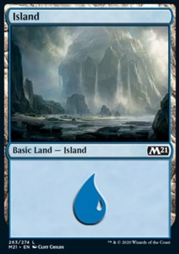 Island (V.1)⁣ - Core 2021⁣ (Land)⁣ [263]