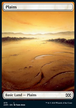 Plains (V.1)⁣ - Double Masters: Extras⁣ (Land)⁣ [373]