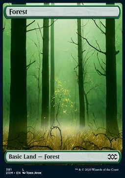 Forest (V.1)⁣ - Double Masters: Extras⁣ (Land)⁣ [381]