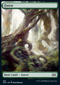 Forest (V.2)⁣ - Double Masters: Extras⁣ (Land)⁣ [382]