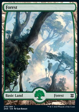 Forest (V.1)⁣ - Zendikar Rising⁣ (Land)⁣ [278]