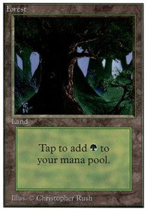 Forest (V.3)⁣ - Unlimited⁣ (Land)