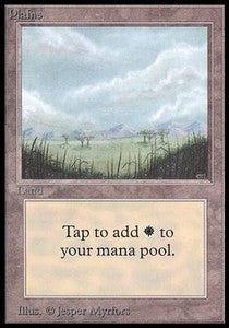 Plains (V.2)⁣ - Beta⁣ (Land)
