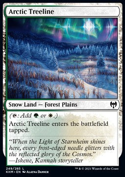 Arctic Treeline⁣ - Kaldheim⁣ (Common)⁣ [249]