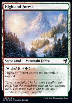 Highland Forest⁣ - Kaldheim⁣ (Common)⁣ [261]