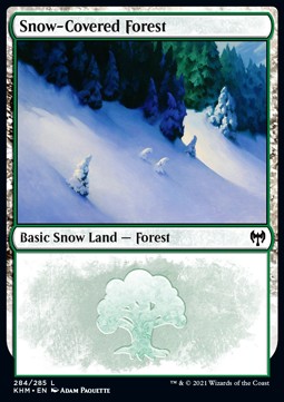 Snow-Covered Forest (V.1)⁣ - Kaldheim⁣ (Land)⁣ [284]