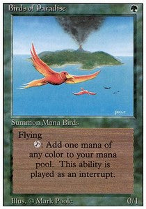 Birds of Paradise⁣ - Revised⁣ (Rare)