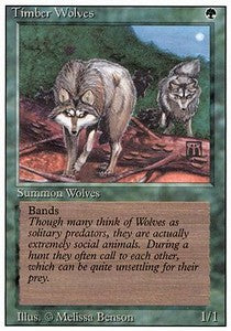 Timber Wolves⁣ - Revised⁣ (Rare)