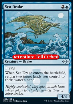 Sea Drake (V.2)⁣ - Modern Horizons 2⁣ (Uncommon)⁣ [268]