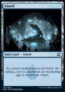 Island (V.1)⁣ - Adventures in the Forgotten Realms⁣ (Land)⁣ [266]