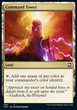 Command Tower⁣ - Commander: Adventures in the Forgotten Realms⁣ (Common)⁣ [230]