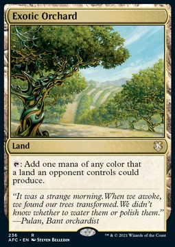 Exotic Orchard⁣ - Commander: Adventures in the Forgotten Realms⁣ (Rare)⁣ [236]