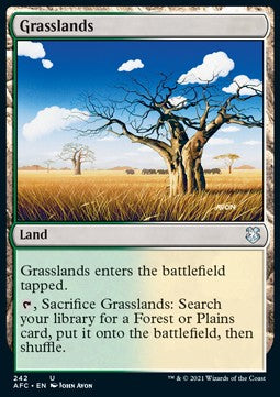 Grasslands⁣ - Commander: Adventures in the Forgotten Realms⁣ (Uncommon)⁣ [242]