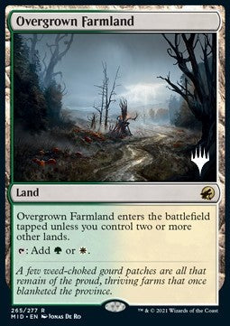Overgrown Farmland (V.2)⁣ - Innistrad: Midnight Hunt: Promos⁣ (Rare)⁣ [265]