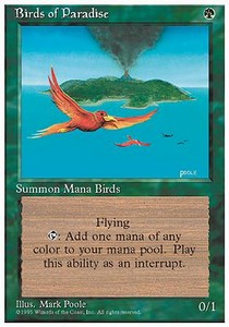 Birds of Paradise⁣ - Fourth Edition⁣ (Rare)