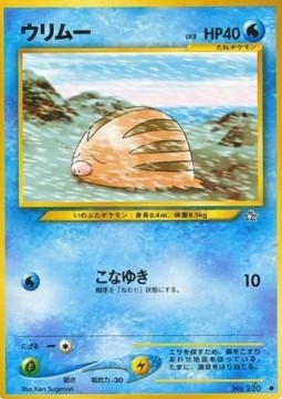 Swinub⁣ - Gold, Silver, to a New World...⁣ (Common)