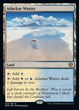Adarkar Wastes⁣ - Dominaria United⁣ (Rare)⁣ [241]