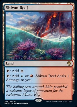 Shivan Reef⁣ - Dominaria United⁣ (Rare)⁣ [255]