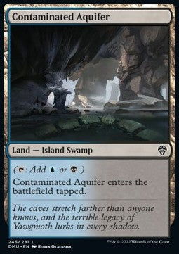 Contaminated Aquifer⁣ - Dominaria United⁣ (Common)⁣ [245]