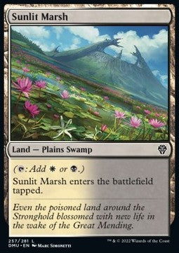 Sunlit Marsh⁣ - Dominaria United⁣ (Common)⁣ [257]