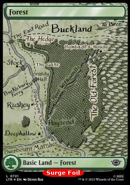 Forest (V.1)⁣ - The Lord of the Rings: Tales of Middle-earth Holiday Release⁣ (Land)⁣ [721]