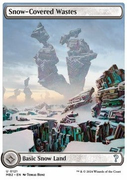 Snow-Covered Wastes⁣ - Mystery Booster 2⁣ (Uncommon)⁣ [121]