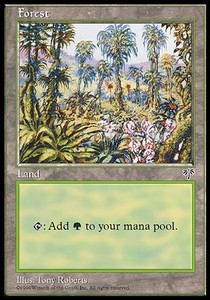 Forest (V.1)⁣ - Mirage⁣ (Land)