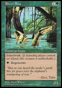 River Boa⁣ - Visions⁣ (Common)
