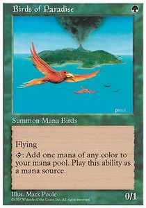 Birds of Paradise - Fifth Edition (Rare)