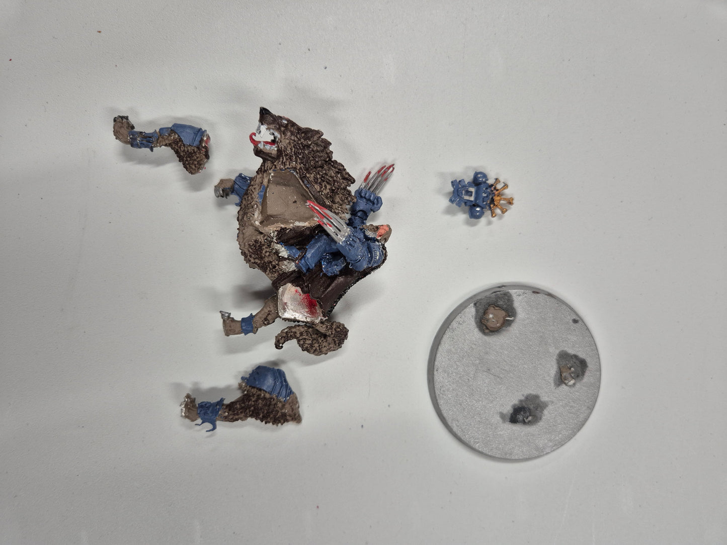 Canis Wolfborn, mounted on Fangir