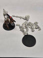 Tau Empire Kroot Krootox (40k)